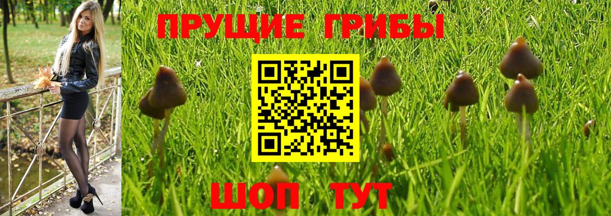 Сокол  Галлюциногенные грибы мицелий  Вход с VPN 